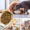 Maatlepel - Digitaal - Diervoeding - Voerschep - Maatschep Voor Diervoeding - Honden - Katten - Digitale Weegschaal