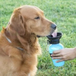 Waterdrinkfles Voor Honden InnovaGoods -Drinkwater Apparaat Winkel 1200x1200 1497