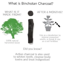 Black + Blum Binchotan Active Charcoal For Eau Good Water Bottles 4-pack -Drinkwater Apparaat Winkel 1200x1200 46