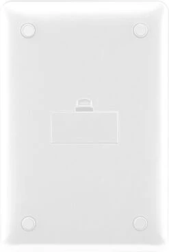 Inventum WS305 - Digitale Precisie Keukenweegschaal - 1 Gr Tot 5 Kg - Tarra Functie - Wit Glas -Drinkwater Apparaat Winkel 808x1200 2