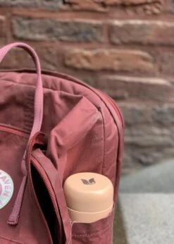 Retulp - Tumbler Thermosbeker – Champagne Pink – 300 Ml - Thermosfles - Roze -Drinkwater Apparaat Winkel 856x1200